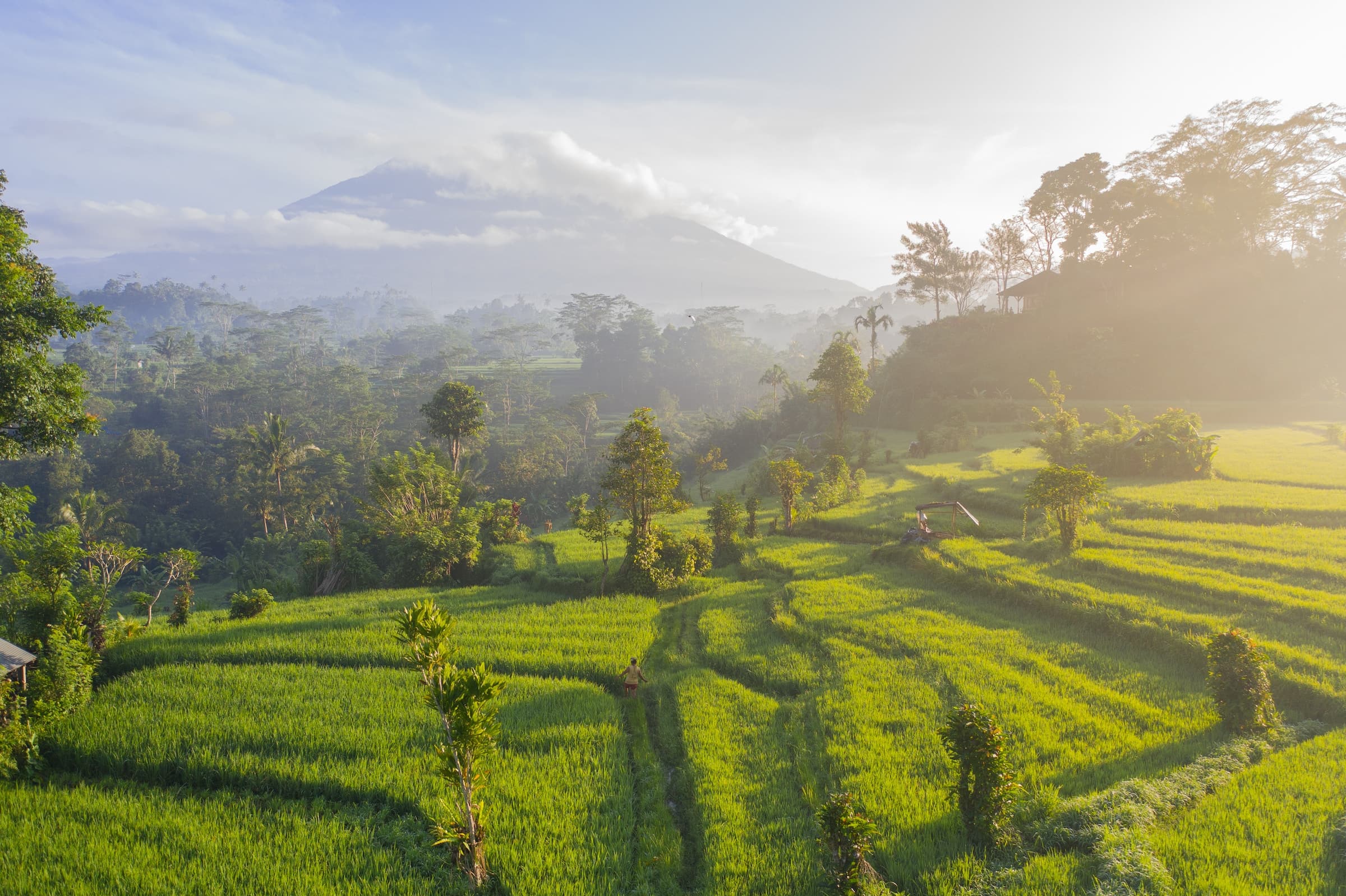 Tax Benefits of Agricultural Land Investment in India: What Every Investor Must Know
