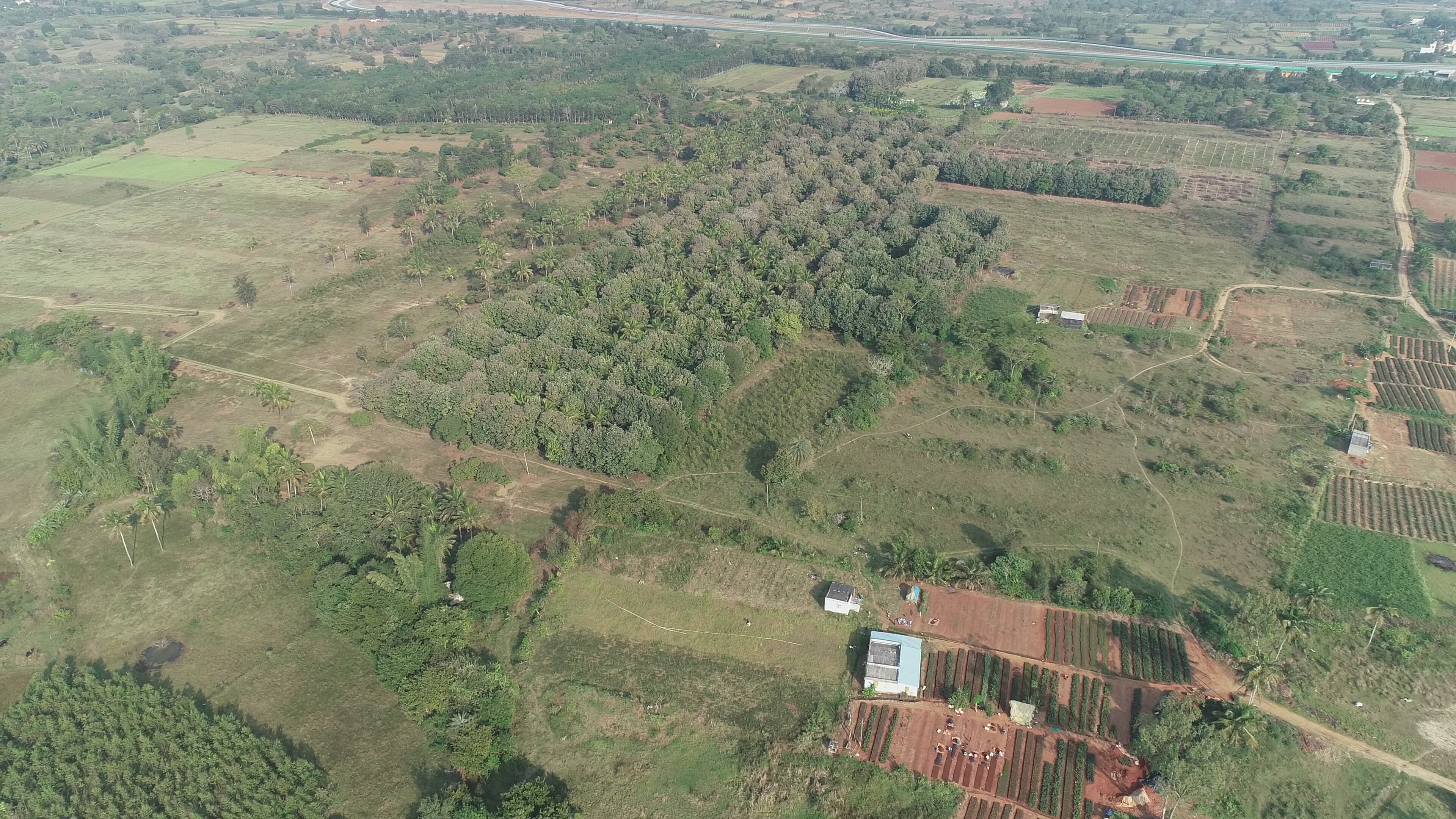 What ROI Can You Actually Expect from Organic Farmland in India? A Realistic Guide